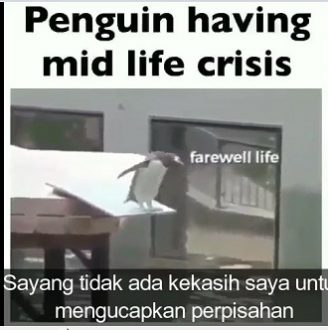 Ketakutan Yang Belum Terjadi